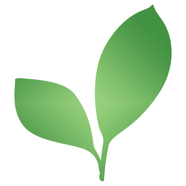 Outlet Root Bower Store